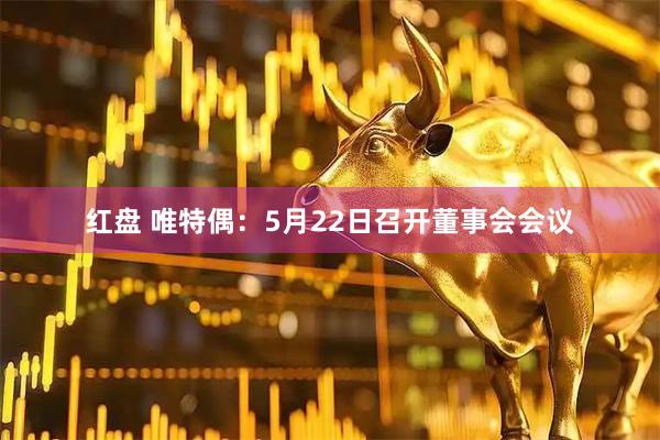 红盘 唯特偶：5月22日召开董事会会议
