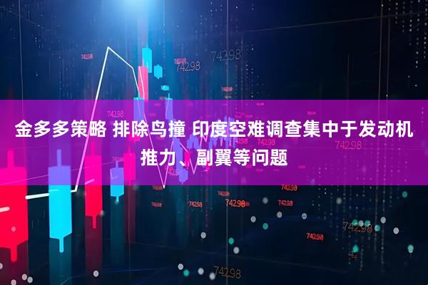 金多多策略 排除鸟撞 印度空难调查集中于发动机推力、副翼等问题