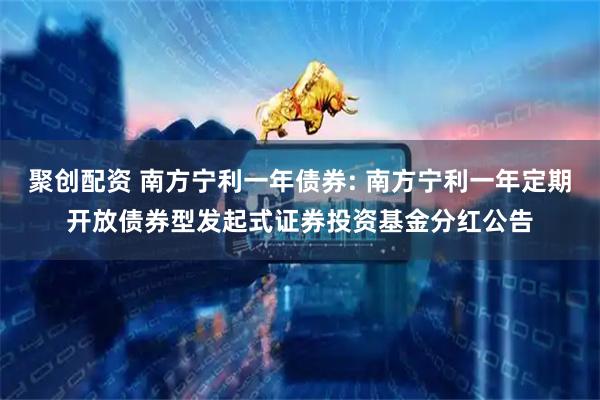 聚创配资 南方宁利一年债券: 南方宁利一年定期开放债券型发起式证券投资基金分红公告