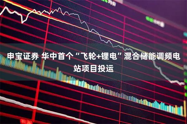 申宝证券 华中首个“飞轮+锂电”混合储能调频电站项目投运