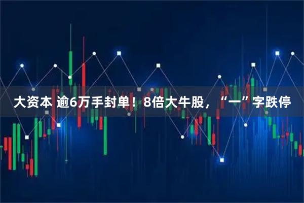 大资本 逾6万手封单!8倍大牛股,“一”字跌停